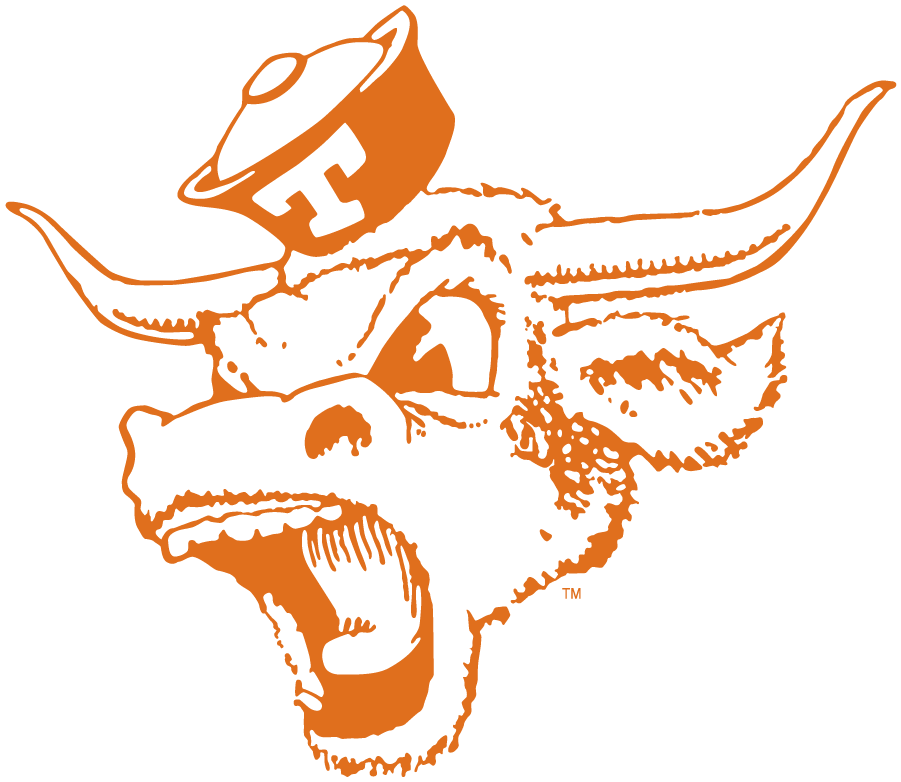 Texas Longhorns 1966-1976 Secondary Logo iron on transfers for clothing